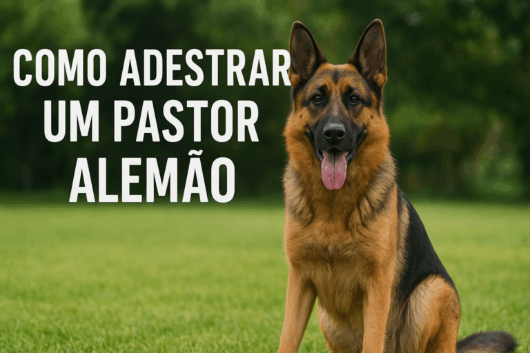 Como Adestrar um Pastor Alemão